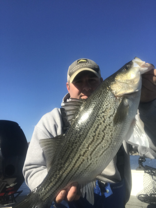 C019FAF3-4E78-4904-844E-E58CBD32C71F