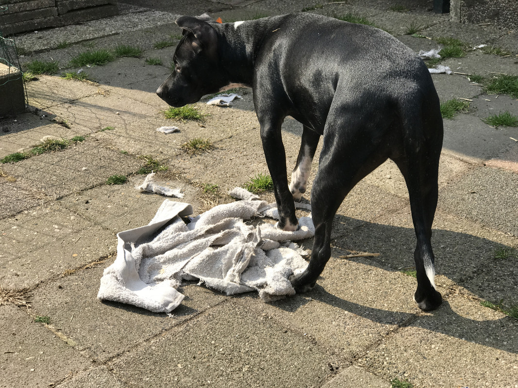 31B2CECD-10F4-4722-A395-20D3CB616D46