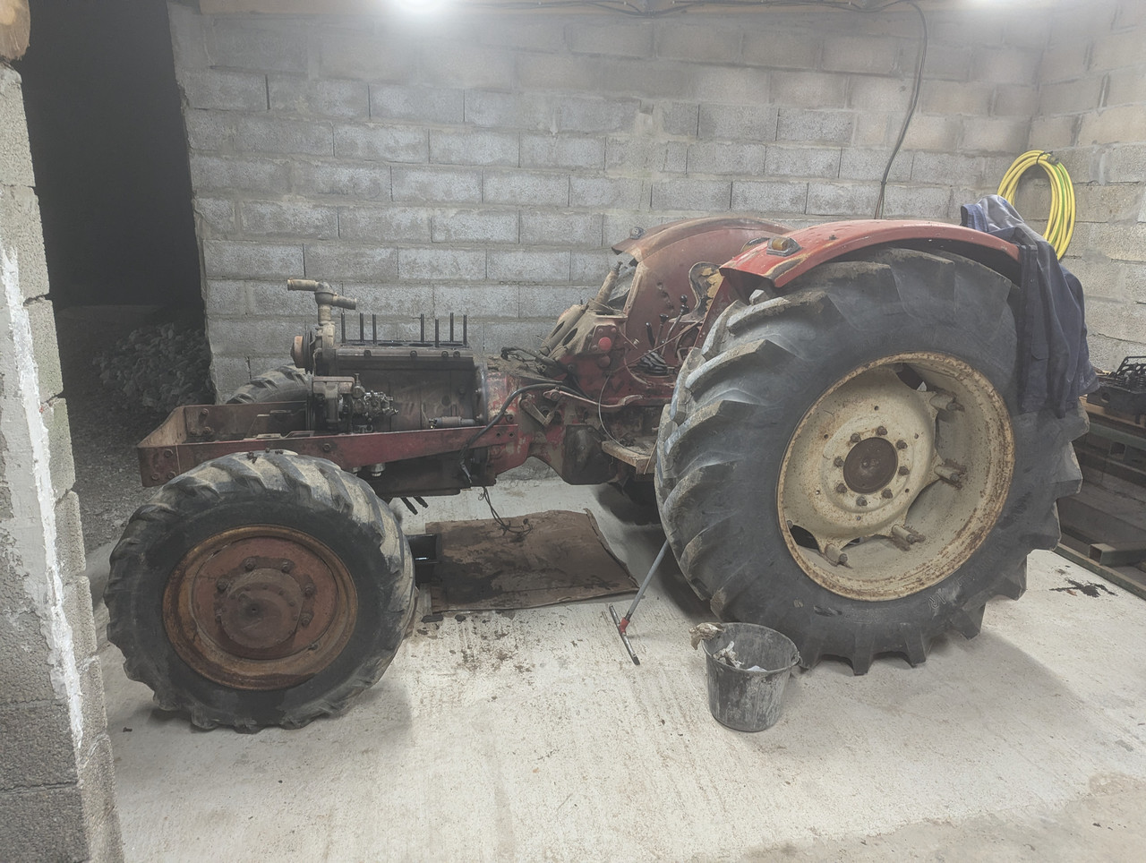 PXL 20251105 191159683