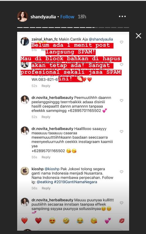 Shandy Aulia protes soal spam online shop