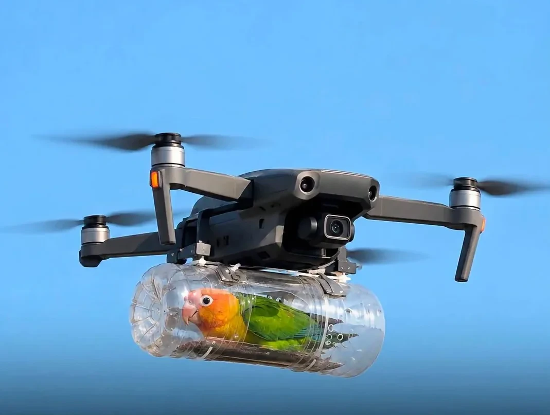 bird-owner