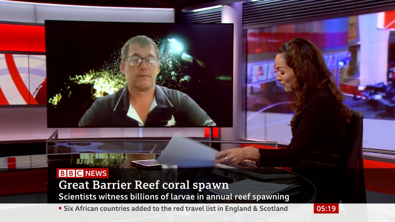 BBC News Fritz_20211126_05000600.ts_snapshot_00.20.21.578
