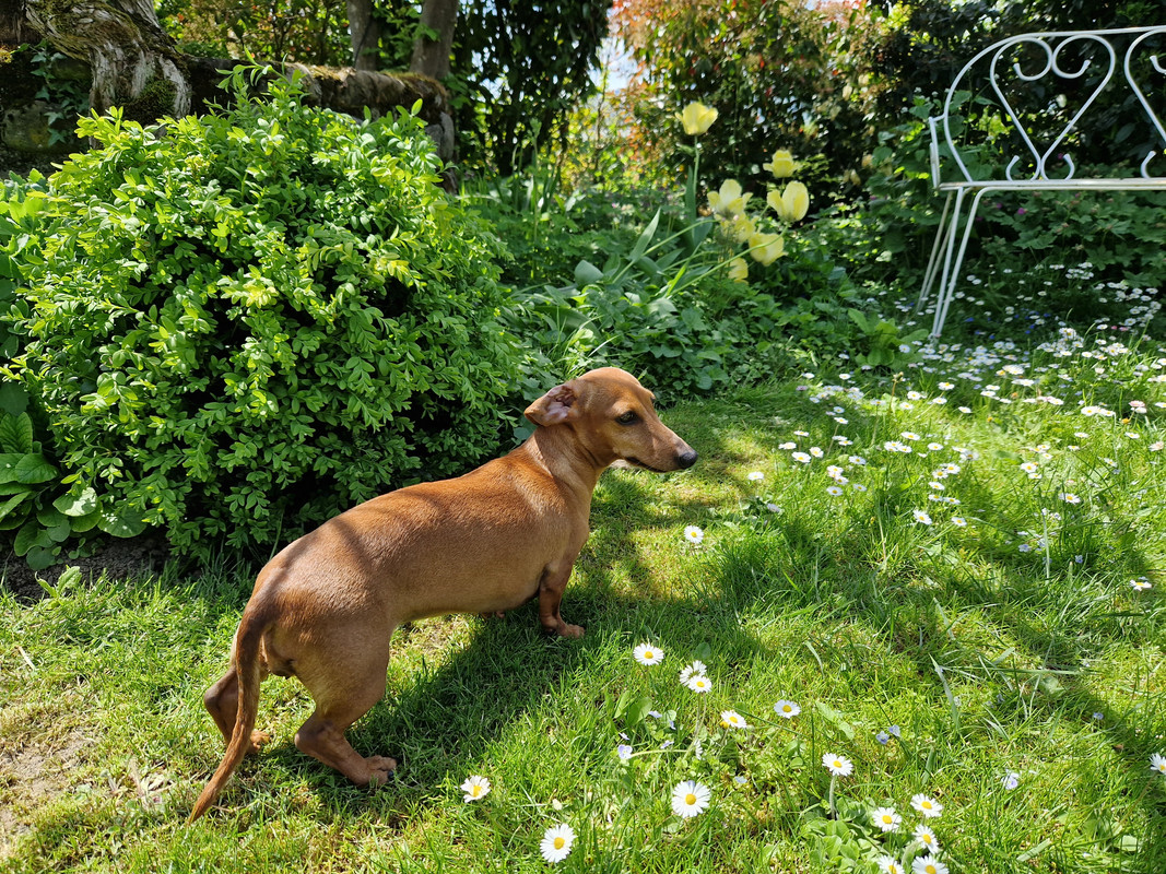 [Image: 20230505-133915.jpg]