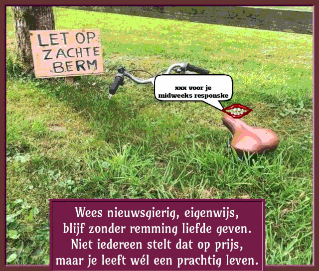 step0004.gif