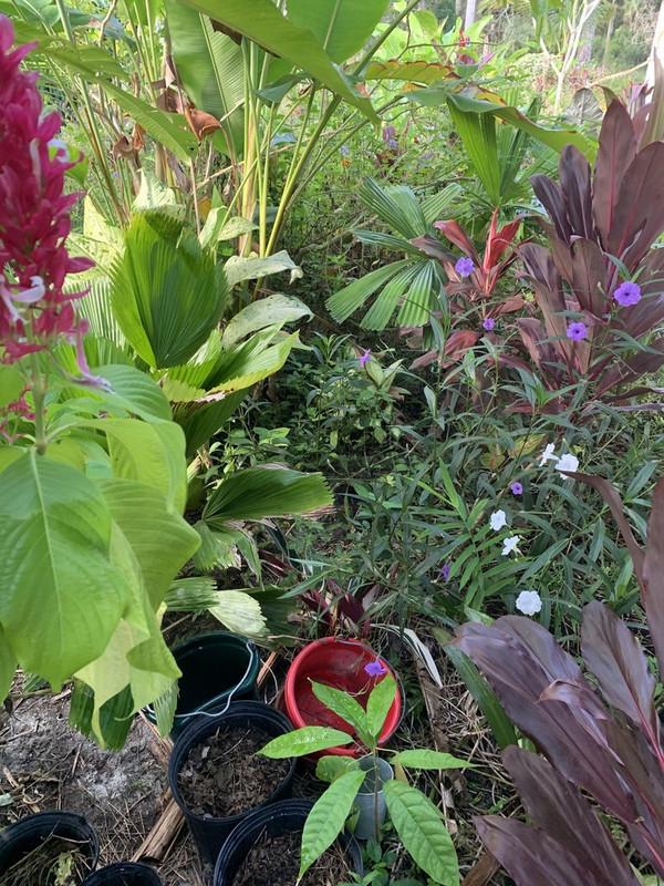 93DB981E-E702-4B52-831B-66A153B591A0