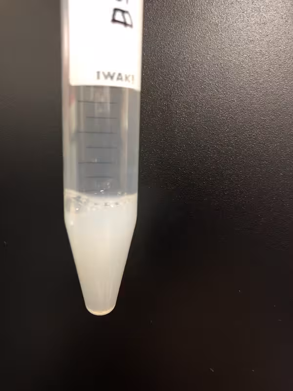 Industrial Organic Chemistry Nanoscale fibers colagen-1 sponge (Image 1)
