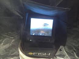 cFISH