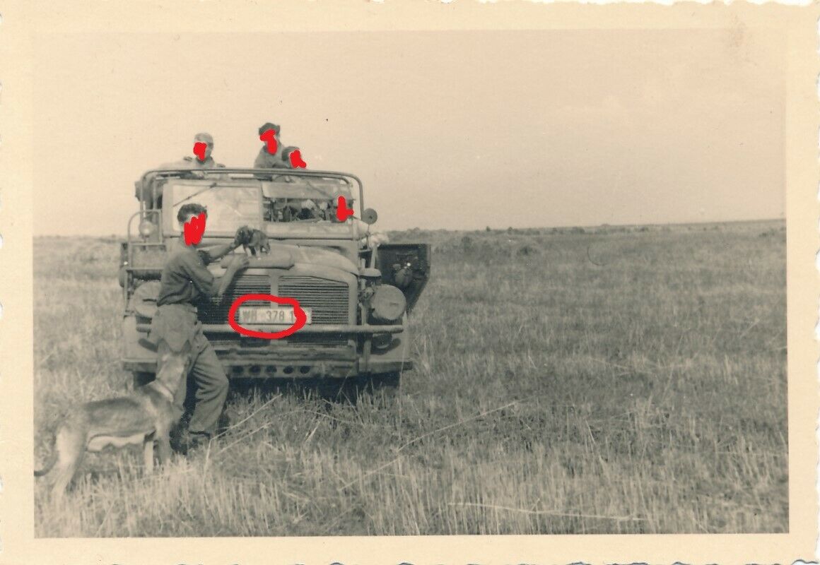 Schwerer Einheits PKW Horch Kübelwagen WH Nummernschild und Hund