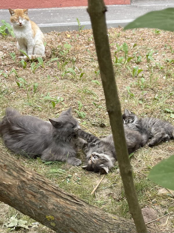 3A6753FB-E7CD-4792-A84F-CFDE0CAEA1AA