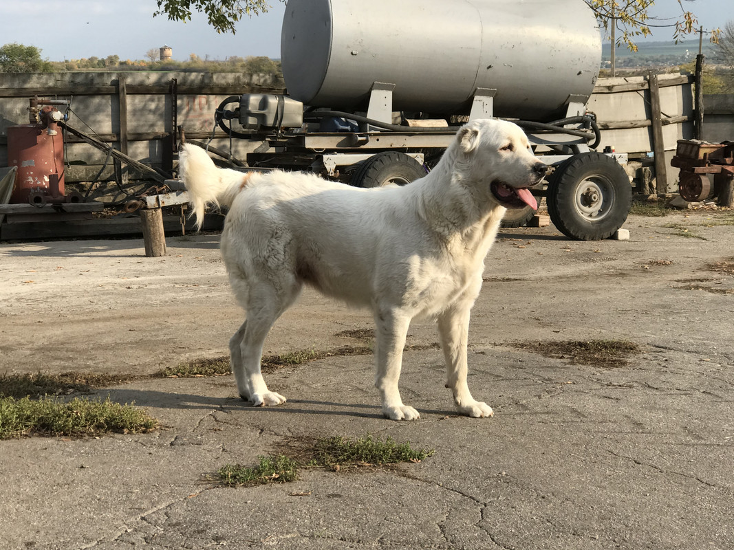 B26DFB54-2FD2-4B5E-A142-80E2CBC9B6AC