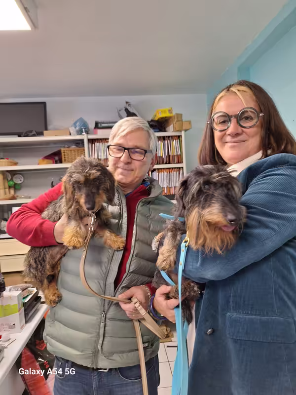 [Image: 20241109-153821.avif]