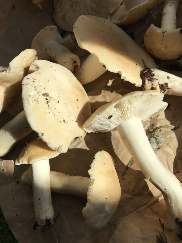 D31B807D-AA04-4600-81E3-AB07FCB078E3