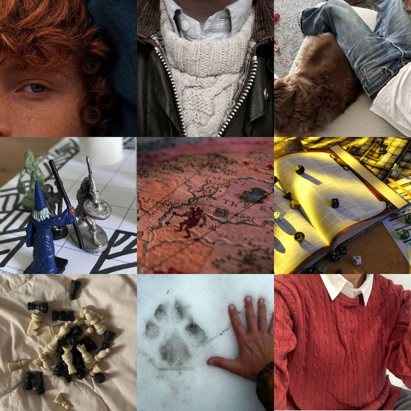 A 3x3 moodboard. The first row shows a close-up of a boy with red hair and blue eyes, a jumper over a buttoned short under a jacket, and a boy sat with a dog. The second row shows a group of D&D Miniatures, a close-up of a tabletop game map, and a tabletop roleplaying sourcebook with dice scattered across. The third row shows a pile of chess pieces, a hand next to a pawprint in the snow, and a jumper over a buttoned shirt