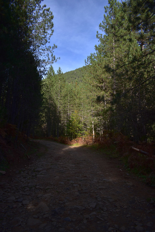 Βάλια Κάλντα (12)