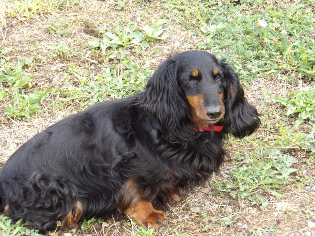 [Image: 125-0052.jpg]