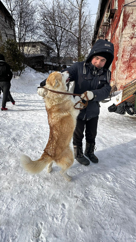 WhatsApp Image 2024-02-26 at 14.29.40 (2)