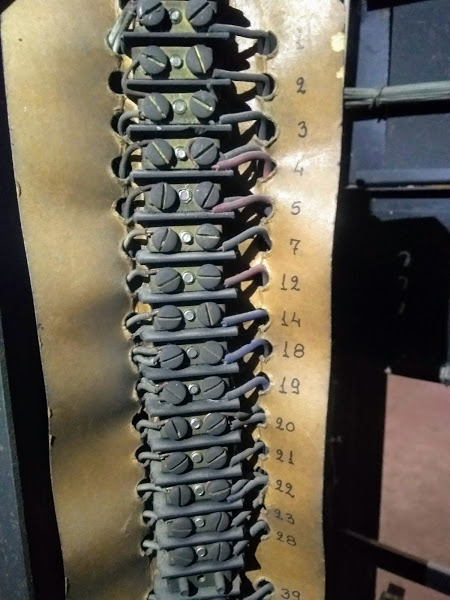 Guillemi Borneras (2)