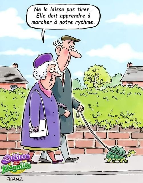 [Image: 1cf76baba0ca715275c6446ec0b88ef2.jpg]