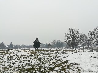 Kép