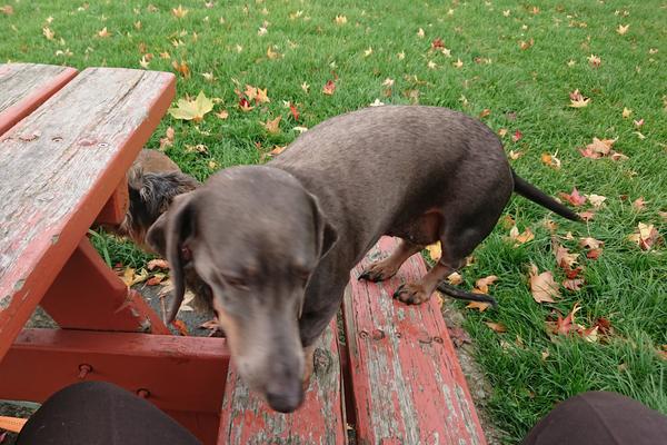 [Image: DSC-2025-10-30-1.jpg]