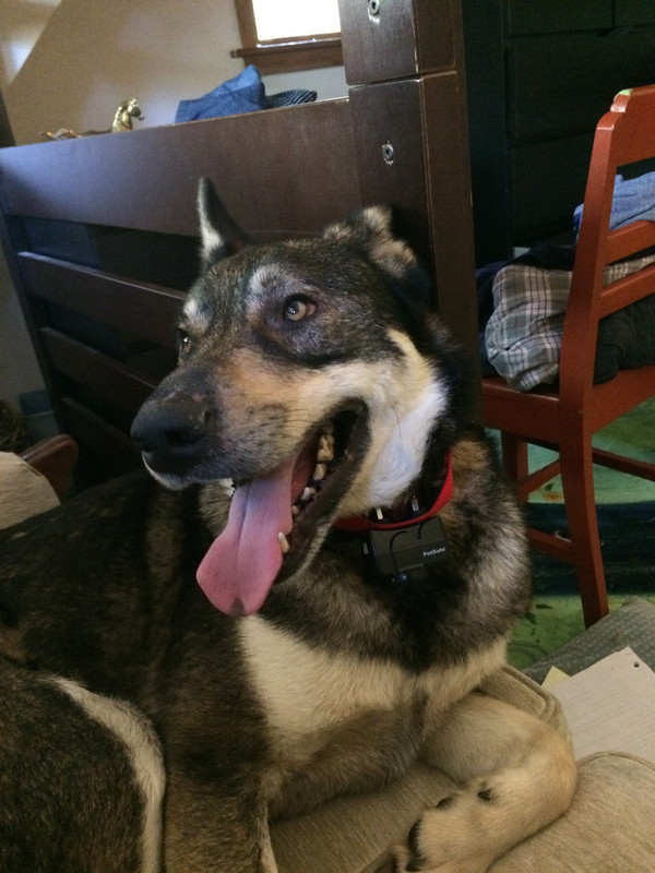 DEDB2879-D60B-43B9-8E6D-094F965DF89C