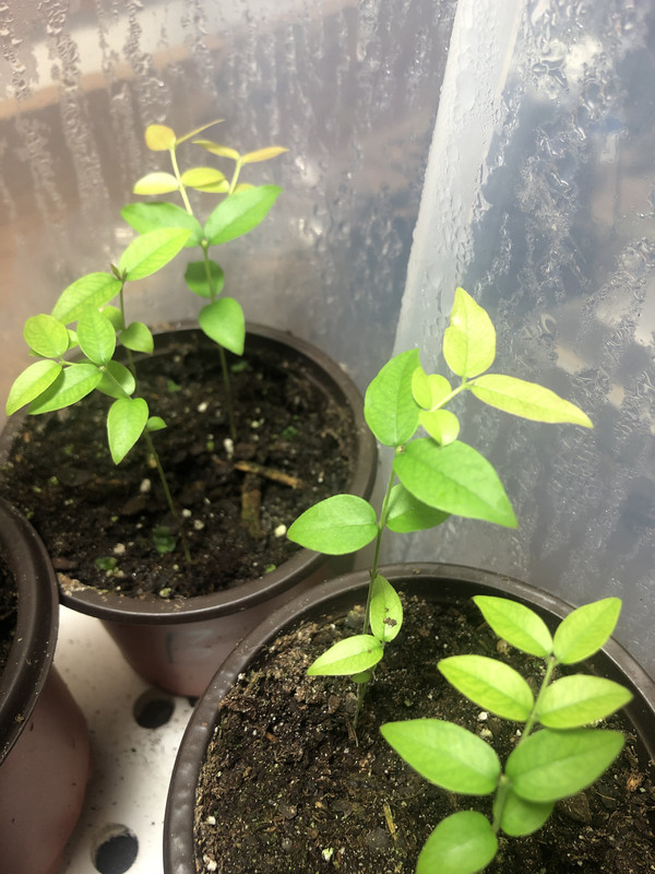 FB913020-ED7C-4392-BB4A-3FA1C99F164C