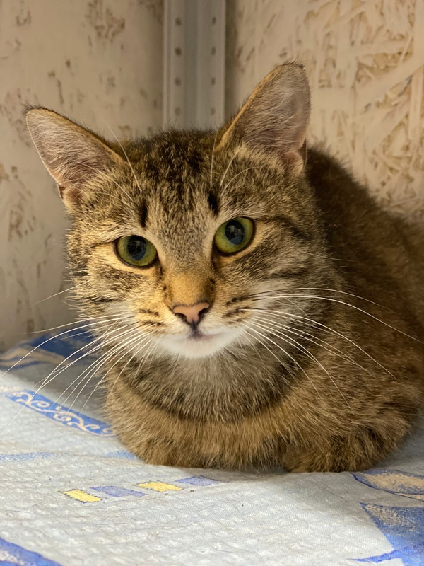 47FB3331-D5AE-4330-8D23-6BEDC0FE7A8B