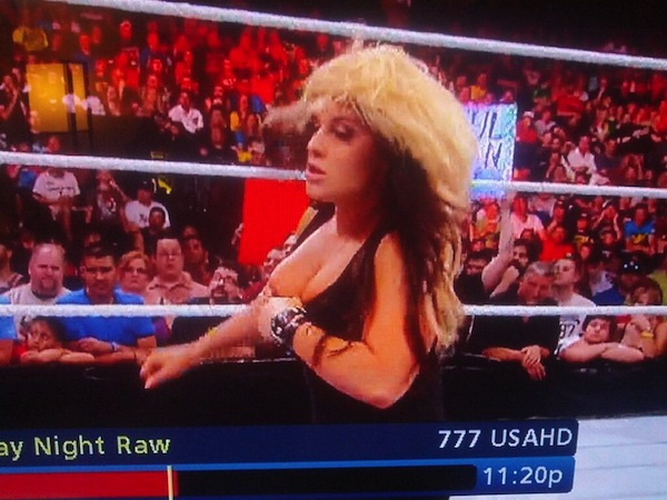 WWE-NIP-SLIP