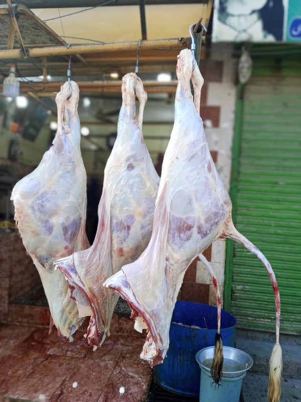 Halal Whole Goat & Sheep Carcass