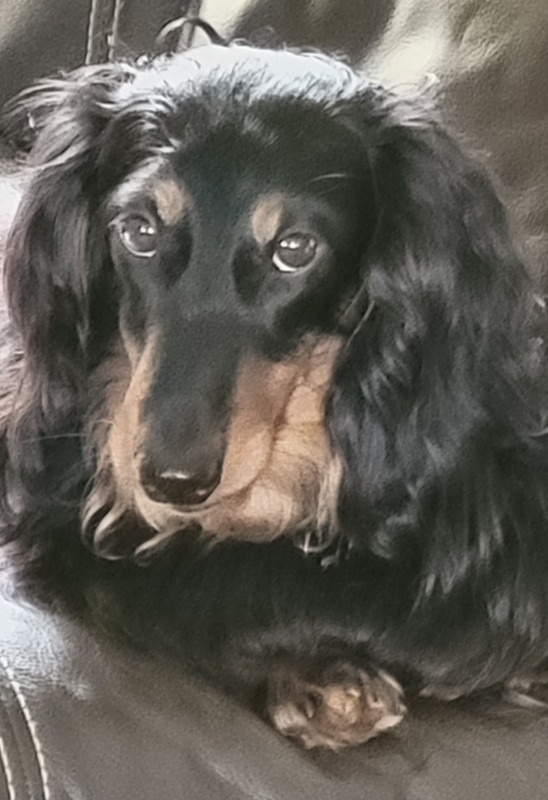 [Image: 20240817-123256.jpg]