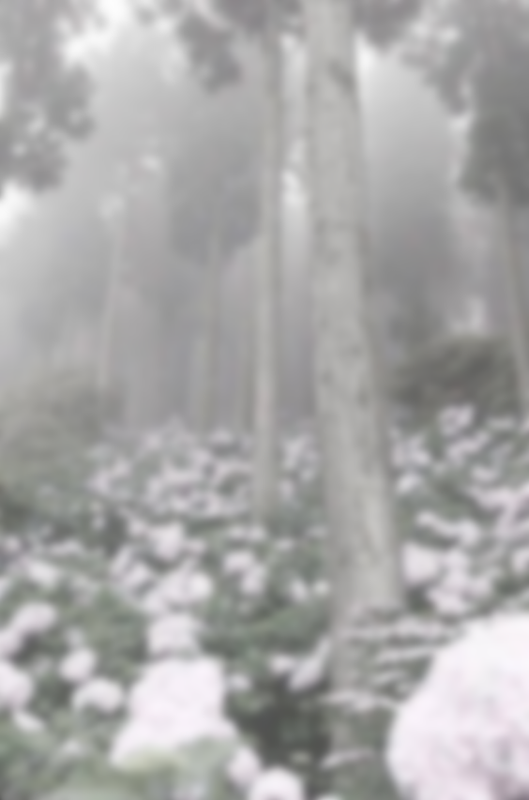 Tumblr l 1239134208975742