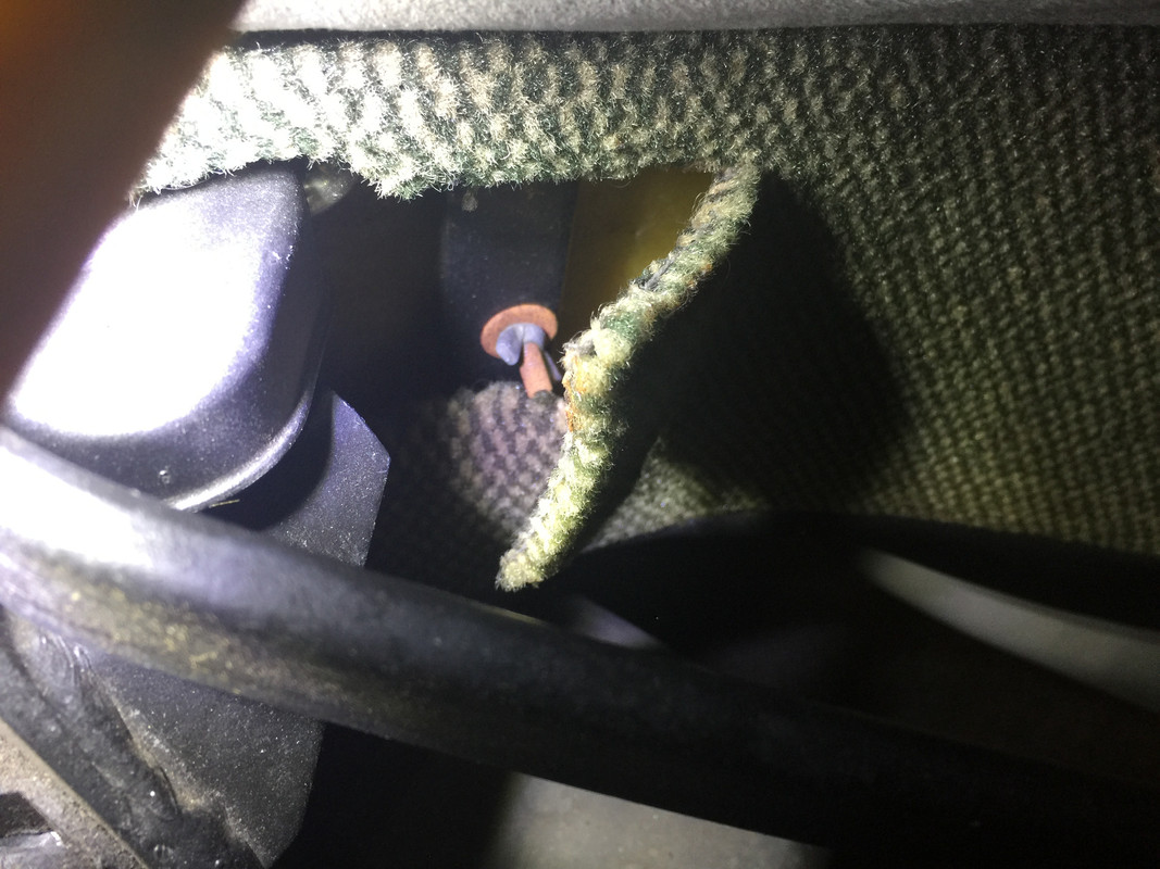 0767CC5B-BC28-4BCF-AAE7-AC236A793A18