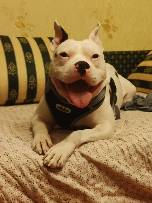 8ADCA121-A3A7-452F-BE32-7172733CF047