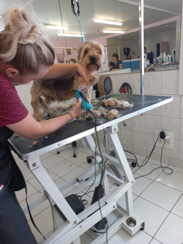 [Image: IMG-20220707-WA0015.jpg]