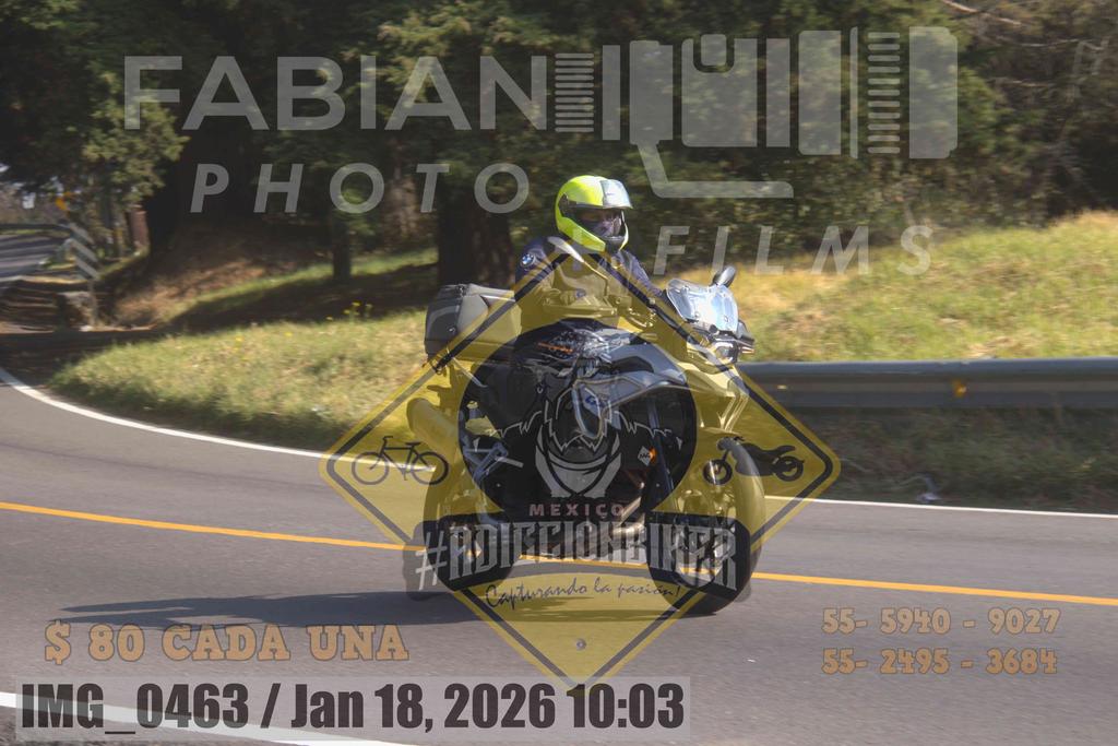 IMG 0463