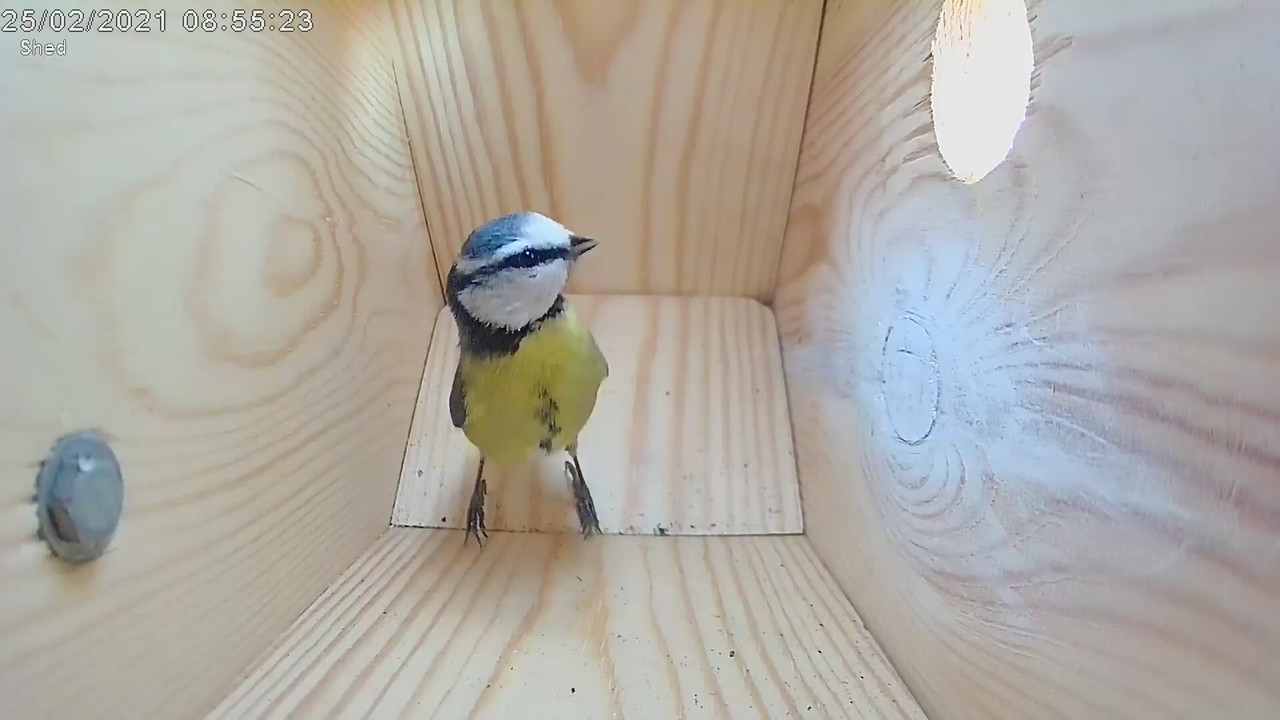 67ACAC7C-6269-4F2C-AAA3-ECE57544ABE3