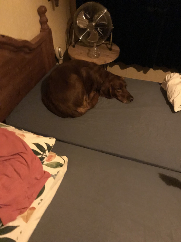 22845D71-53D8-421A-B5AF-F71FF62EC27A