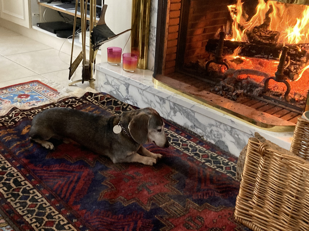 [Image: IMG-4061.jpg]