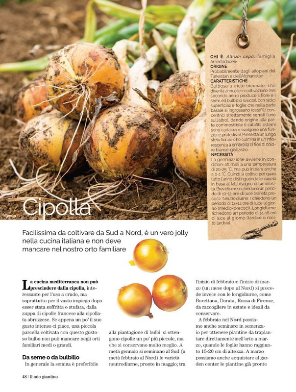 Il Mio Giar Feb-Mar 2022 (9)