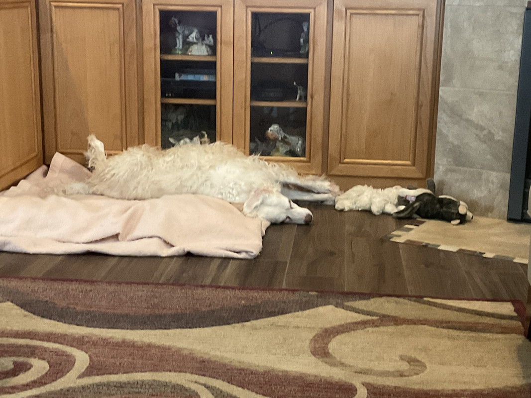 F68B806A-9979-4355-B78E-CBD00F538DC4