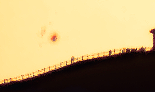 https://i.postimg.cc/Rh2t2n37/Screenshot-20241228-201101.png