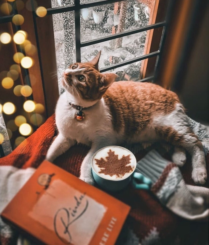 Screenshot_20240112_234405_Instagram