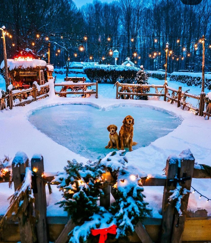 Screenshot_20231001_100703_Instagram