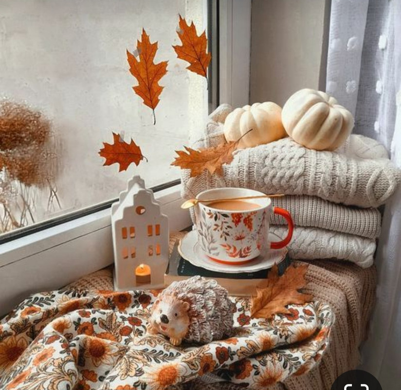 Screenshot_20231008_214448_Pinterest