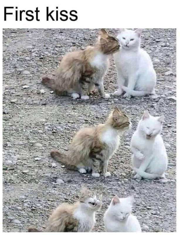 db15e4e826ffb43c39863c87b0df80eb