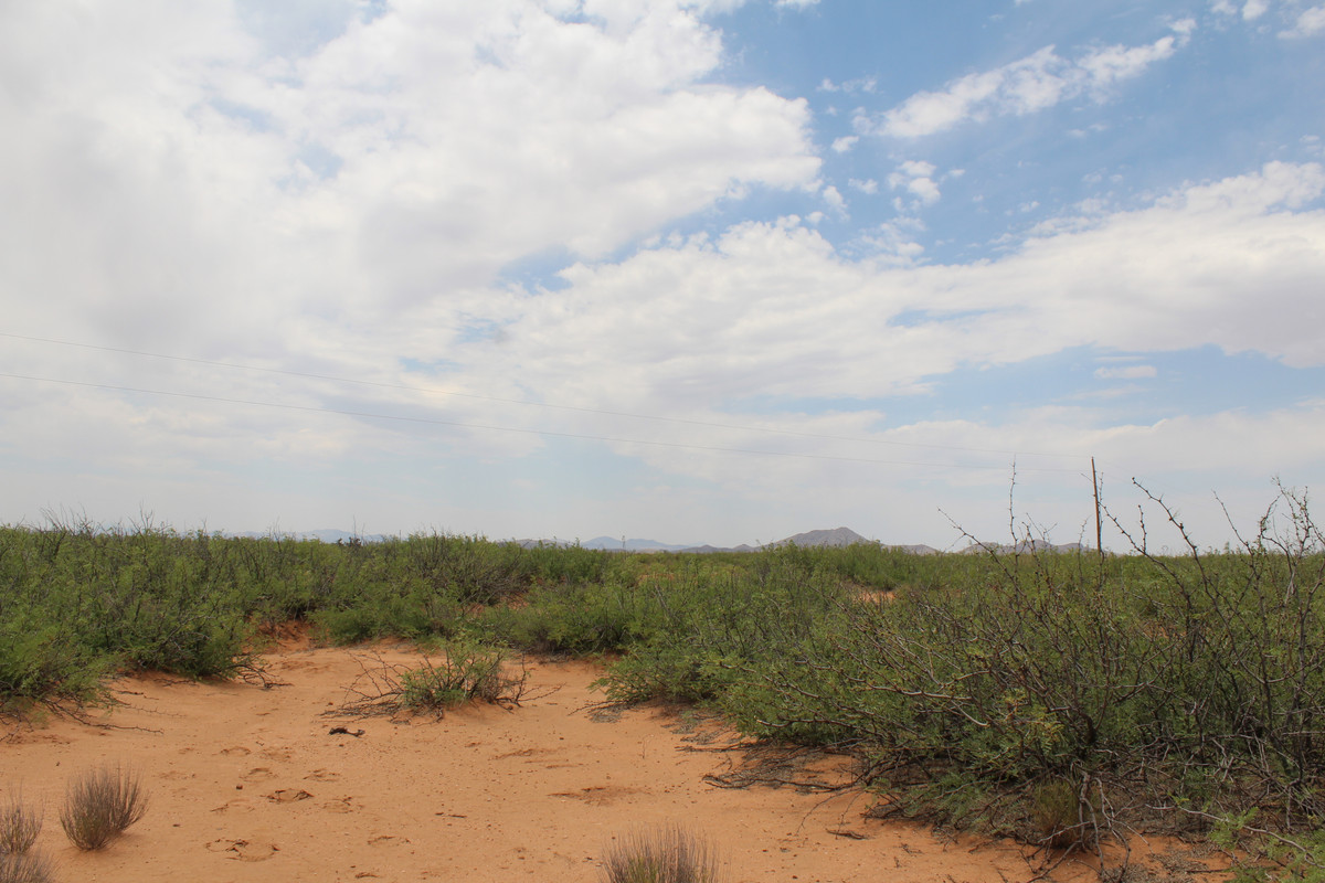 "Expansive 4.1 Acre Canvas Awaits Your Vision in Horizon Ranches, Deming, NM!"
