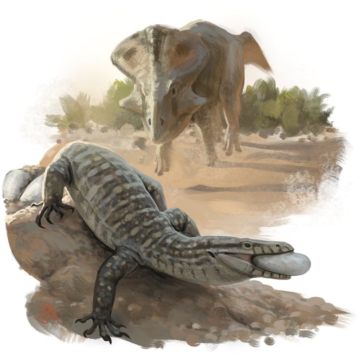 9e6fa0d582dc7c55df588ab340375000