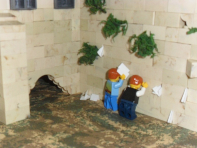 SAM_3464-20151021-123436