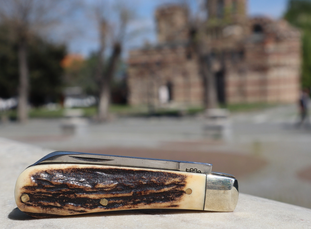 AW Small Sambar LF (2) 12-9