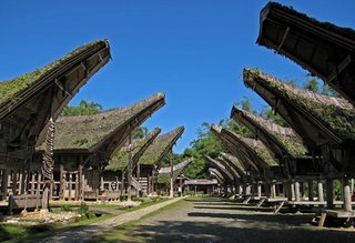 Tana Toraja